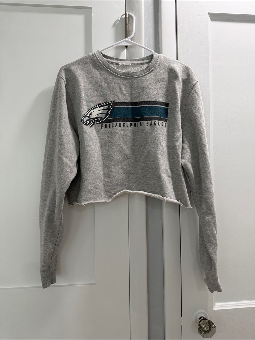 Philadelphia Eagles Cropped Crewneck Sweatshirt - Gray